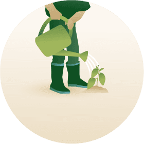 Forest Of The Futures