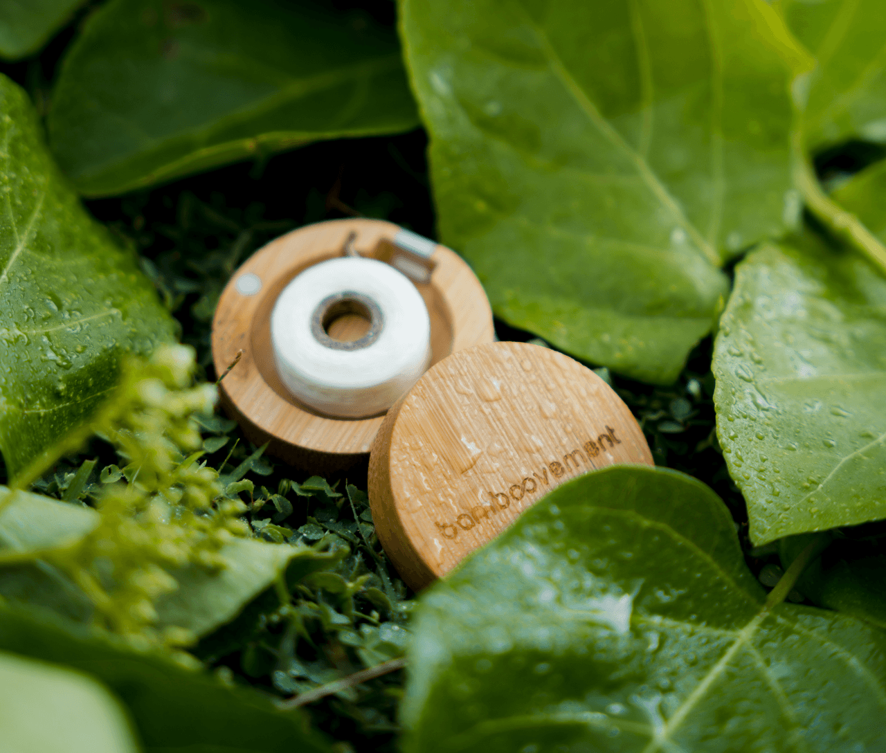 Why Choose Plant-Based Dental Floss?